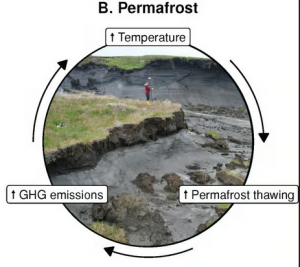 Retroactionpermafrost.png